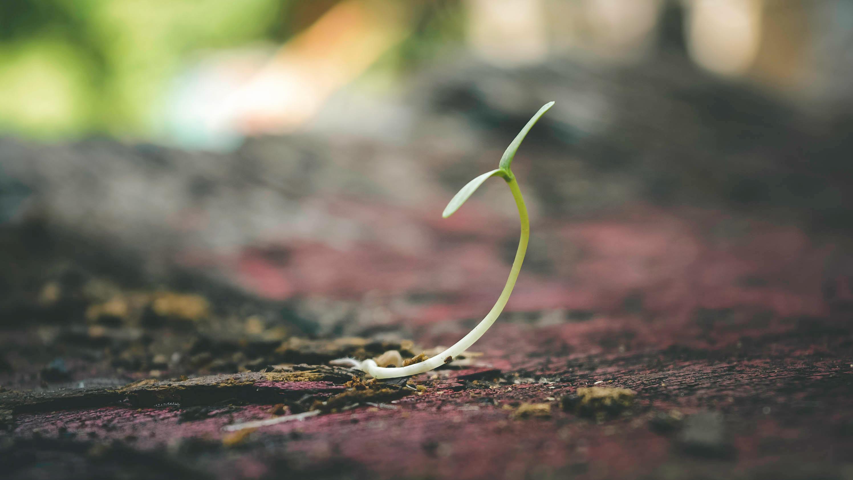 Living at Your Own Pace: The Art of Finding Balance